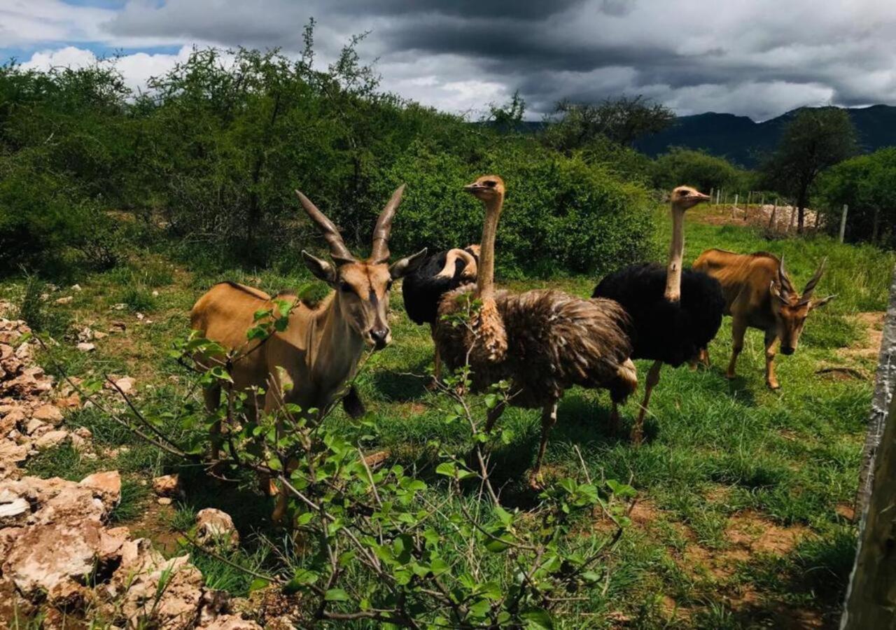 Oldonyo Orok Lodge Kajiado 외부 사진