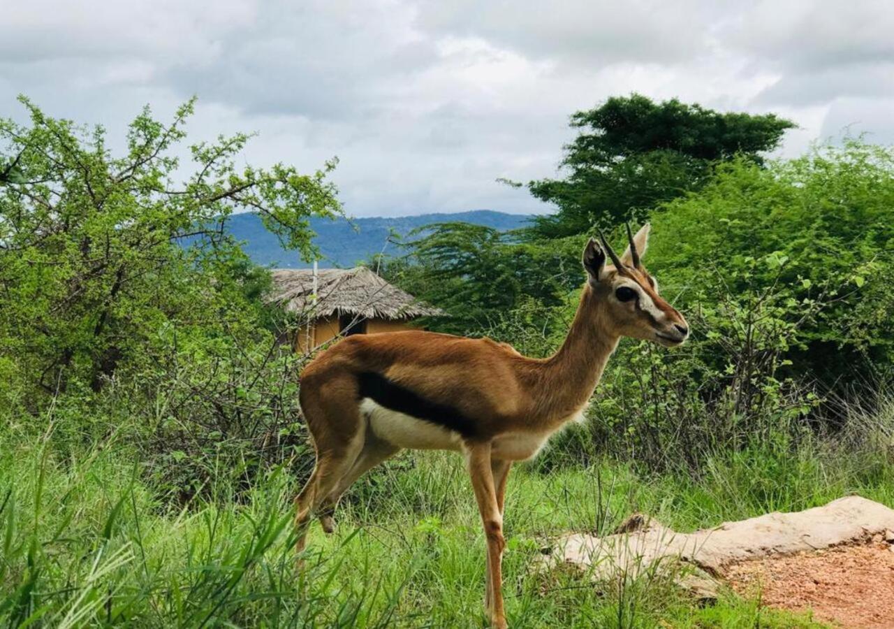 Oldonyo Orok Lodge Kajiado 외부 사진